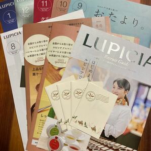 ルピシア　LUPICIA お便り　メッセージカード