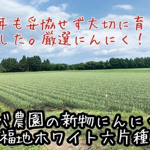 青森県産にんにく 福地ホワイト六片種 2023年度 ニンニク バラにんにく 10キロの画像2