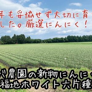 青森県産にんにく 福地ホワイト六片種 ニンニク 訳アリ バラにんにく 1キロ 訳あり の画像2