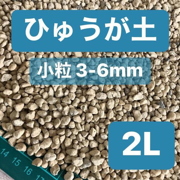 ひゅうが土 小粒 2L 日向土 観葉植物 コーデックス 多肉植物 サボテン