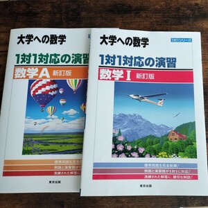 大学への数学 １対１対応の演習 新訂版 数学I ＆数学A★送料無料 数ⅠA