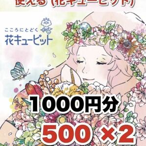 花とみどり キューピット トイザらス フラワー 券 花 インテリア 雑貨 (対応早いです) 