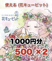 花とみどり キューピット トイザらス フラワー 券 花 インテリア 雑貨 (対応早いです) _画像1