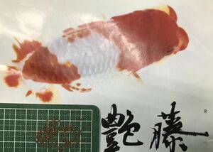 艶藤400グラム沈下性1.2㎜(金魚 らんちゅう 東錦 琉金 オランダシシガシラ 熱帯魚 川魚 錦鯉)(増体 色揚げ 高嗜好性)バイオ科学株式会社