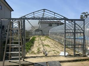  plastic greenhouse height 2.5m. length 25m. width .5m 1. dismantlement ending pickup limitation Niigata prefecture Nagaoka city 