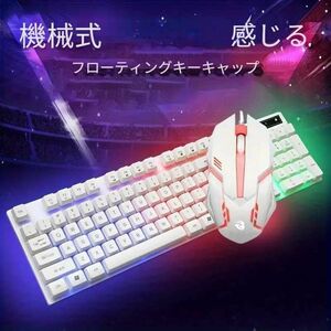 キーボードとマウスセット ゲーミング LED バックライト ホワイト メカニカル RGB多色発光キーボード有線