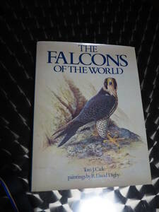 color book 洋書　ハヤブサ　ファルコン　隼　はやぶさ　THE FALCONS OF THE WORLD　ケストレル　チョウゲンボウ　バードウォッチング