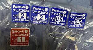 6点Pascoの春フェス2024・*:.。. .。.:*・゜゜・*