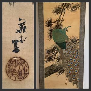 Art hand Auction [Reproduction] Large hanging scroll A632L [Kida Kado Peacock] Colored silk painting / Flower and bird painting Japanese painting Founder of the Kishi school Late Edo and Meiji periods Keisei Chikusekikyo Old book Chinese painting, Painting, Japanese painting, Flowers and Birds, Wildlife