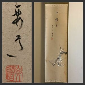 【模写】掛軸A655B[雪尾要道賛　田中松泉画　梅画賛　一枝春]彩色紙本　共箱／仏画　仏教美術　臨済宗大徳寺派宗鏡寺住職　沢庵寺　花押印