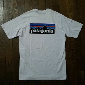 パタゴニア　レスポンシビリティ Tシャツ