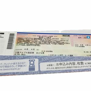 阪神タイガース　交流戦チケット　阪神vs楽天　6月4日（火）3塁アルプス指定席　2枚