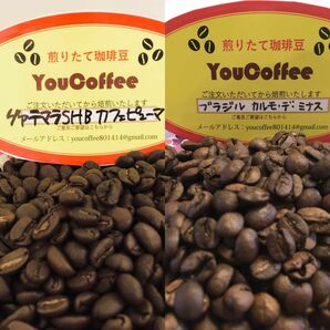 コーヒー豆 Qグレード グァテマラSHBカフェピューマ & ブラジル カルモ デ ミナス 180 ずつ注文後焙煎YouCoffee