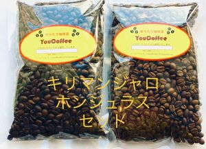 コーヒー豆 セット キリマンジャロ タンザニアAA 180g ホンジュラス HG 180g YouCoffee