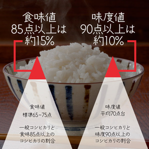 令和5年産 一等米 希少コシヒカリ！はちたか米 10kgの画像7