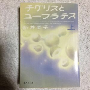 チグリスとユーフラテス 上 (集英社文庫) 新井 素子 9784087474404