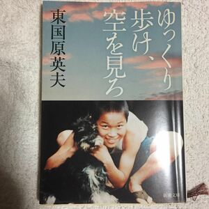 ゆっくり歩け、空を見ろ (新潮文庫) そのまんま東 9784101314716