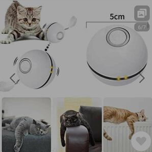 小動物ハウス、ペット用品 LED 電球色 LEDダウンライト