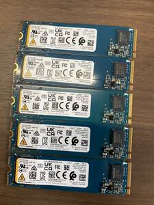 東芝　キオクシア　SSD NVME 256GB 美品　HP01AN00 動作良好　5枚