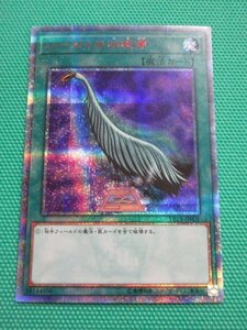 【遊戯王】　VP19-JP001　20thシークレット　ハーピィの羽根帚　④