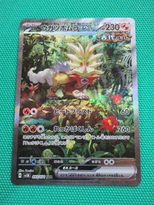 ポケモンカードゲーム　sv5K-093　SAR　ウガツホムラex　①