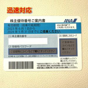 番号通知のみ★即決★ANA株主優待券★有効期限2024年5月31日★③