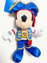 レア　新品　未使用　タグ付き　ディズニーランド　TDL ディズニーサマーフェス　夏イベ　クール ザ ヒート　ぬいぐるみバッジ　ミッキー_画像1