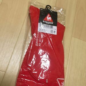 靴下　メンズ　２2～24センチ　サイズ　ルコックスポルティフ(le coq sportif) ソックス　 レディースにも　スポーツに　ハイソックス　a55