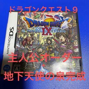 ドラゴンクエスト9 主人公オーダー＋地下天使の泉完成