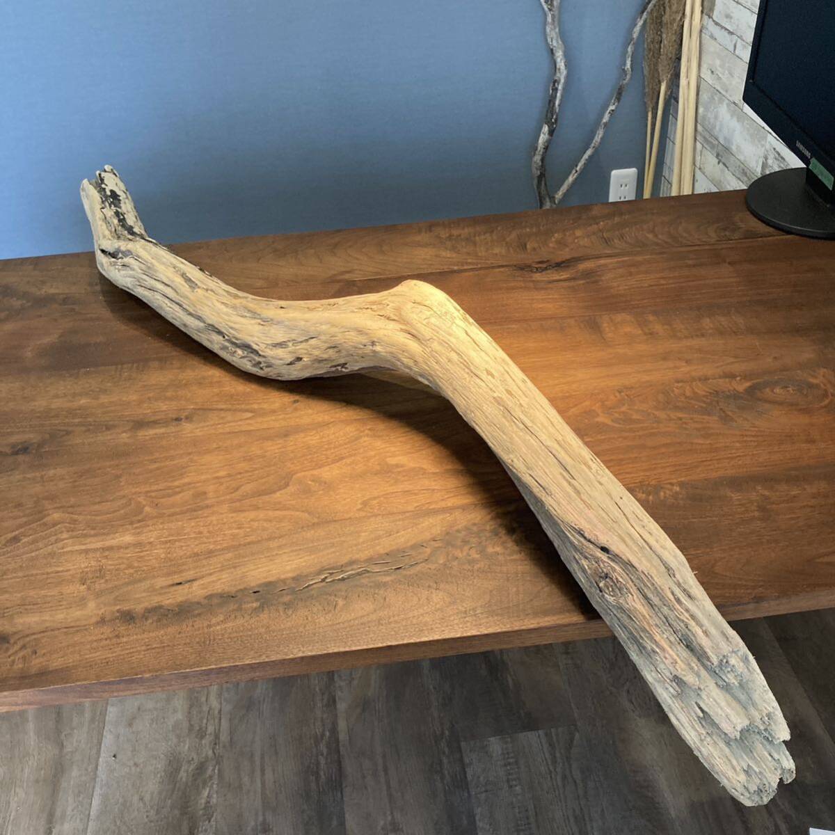 12. A big snake, Driftwood...natural product, interior, object, handmade works, interior, miscellaneous goods, ornament, object