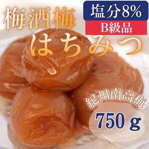 梅酒梅 はちみつ 【完熟 南高梅使用】塩分8% 750ｇ 訳あり