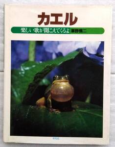 カエル　楽しい歌が聞こえてくるよ ジュニア写真動物記　 草野 慎二