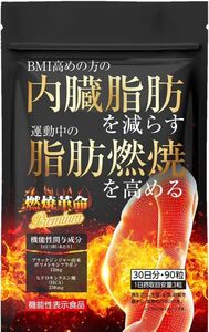 新品　燃焼革命Premium 内臓脂肪を減らす 脂肪燃焼を高める ダイエット ブラックジンジャー HCA サプリメント 30日分