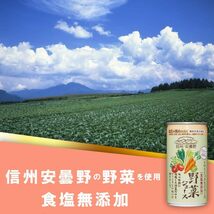 野菜ジュース(食塩無添加) 【機能性表示食品】ゴールドパック 信州・安曇野野菜ジュース(食塩無添加)190g×30本 【ストレート_画像6