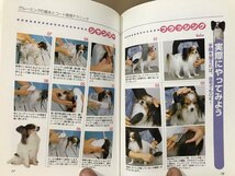 ■ 楽しいパピヨンライフ ■ この1冊があれば、パピヨンのことな~んでもまるわかり　愛犬の友編集部　すべてがわかる完全犬種マニュアル_画像6