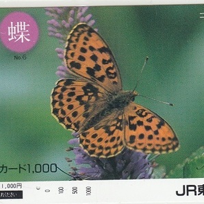 ＪＲ東日本「信州の蝶Ｎｏ．６」1穴使用済みの画像1