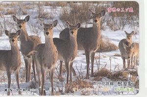 ＪＲ北海道「雪原のエゾ鹿」1穴使用済み