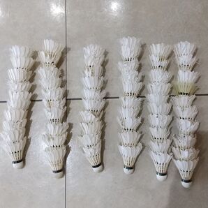 野球バッティング練習 シャトル 60個