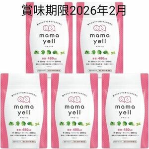 ママエール 5袋 150日分 葉酸 高配合 480μg 妊婦 妊娠 妊活 サプリメント 1か月分×5袋セット