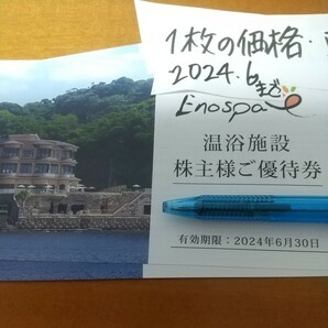 1枚の価格 在庫6枚 希望数可 江の島アイランドスパ えのすぱ 飯田グループホールディングス 株主優待券 2024.6まで ムスカリの画像2