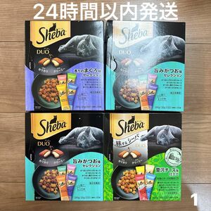 【24時間以内発送】 旅するシーバ デュオ シーバ 4箱セット