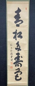 【模写】大徳寺 三玄院 藤井誡堂 一行書「青松多寿色」紙本共箱 検)/墨蹟/掛け軸/書//山水/茶掛け/茶道具/書画禅語 京都