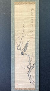 【模写】女流南画家 池田青渓「梅に鳥 花鳥図」広島の人 検)文人画小禽/書画/掛け軸/中国/山水/日本画/花鳥/仏画/茶掛け/水墨/草花/