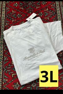 【新品未使用】3Lサイズ▼アバクロ▼半袖Tシャツ　総刺繍　高級　アバクロ&フィッチ Tシャツ