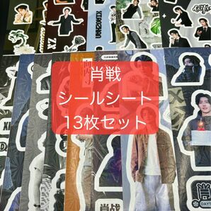 【新品】肖戦 シャオジャン シールシート 13枚セット