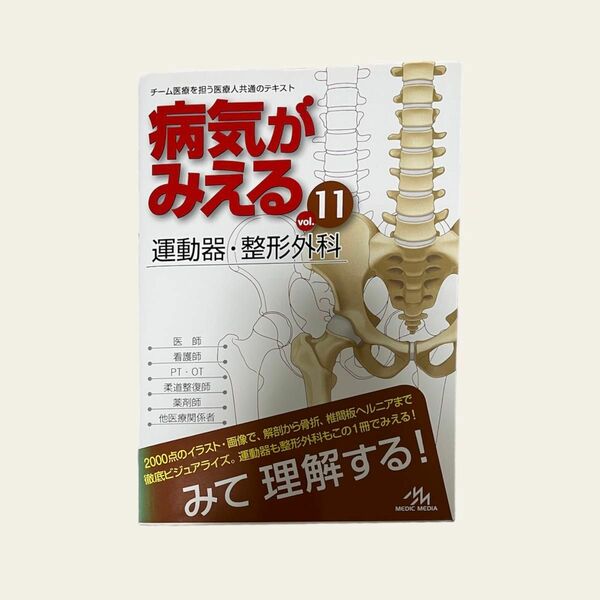  【未使用美品】病気がみえる　ｖｏｌ．１１ 医療情報科学研究所／編集