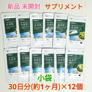 送料無料 新品 長命草 沖縄産の長命草使用 シードコムス 約12ヶ月 サプリメント ダイエットサポート エイジングケアサポート