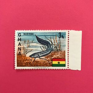 外国未使用切手★ガーナ 1967年 マッドフィッシュ