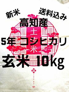 送料込み 令和5年産 高知県産 新米コシヒカリ 玄米10㎏(袋込み)