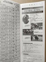 競馬 JRA レープロ20020106東京 ガーネットSブロードアピール サウスヴィグラス/ダイワテキサス引退式/Hビーマイナカヤマ ワシントンカラー_画像1